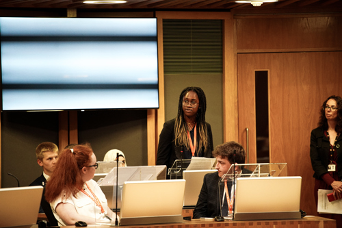 Angel Ezeadum speaking in the Chamber